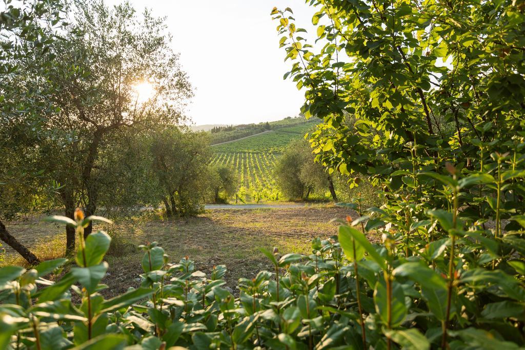 Tenuta Di Monaciano Ponte A Bozzone Exteriér fotografie