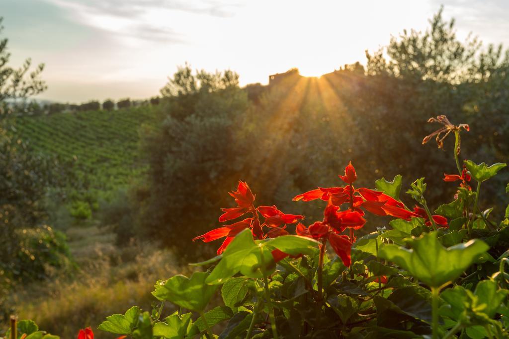 Tenuta Di Monaciano Ponte A Bozzone Exteriér fotografie