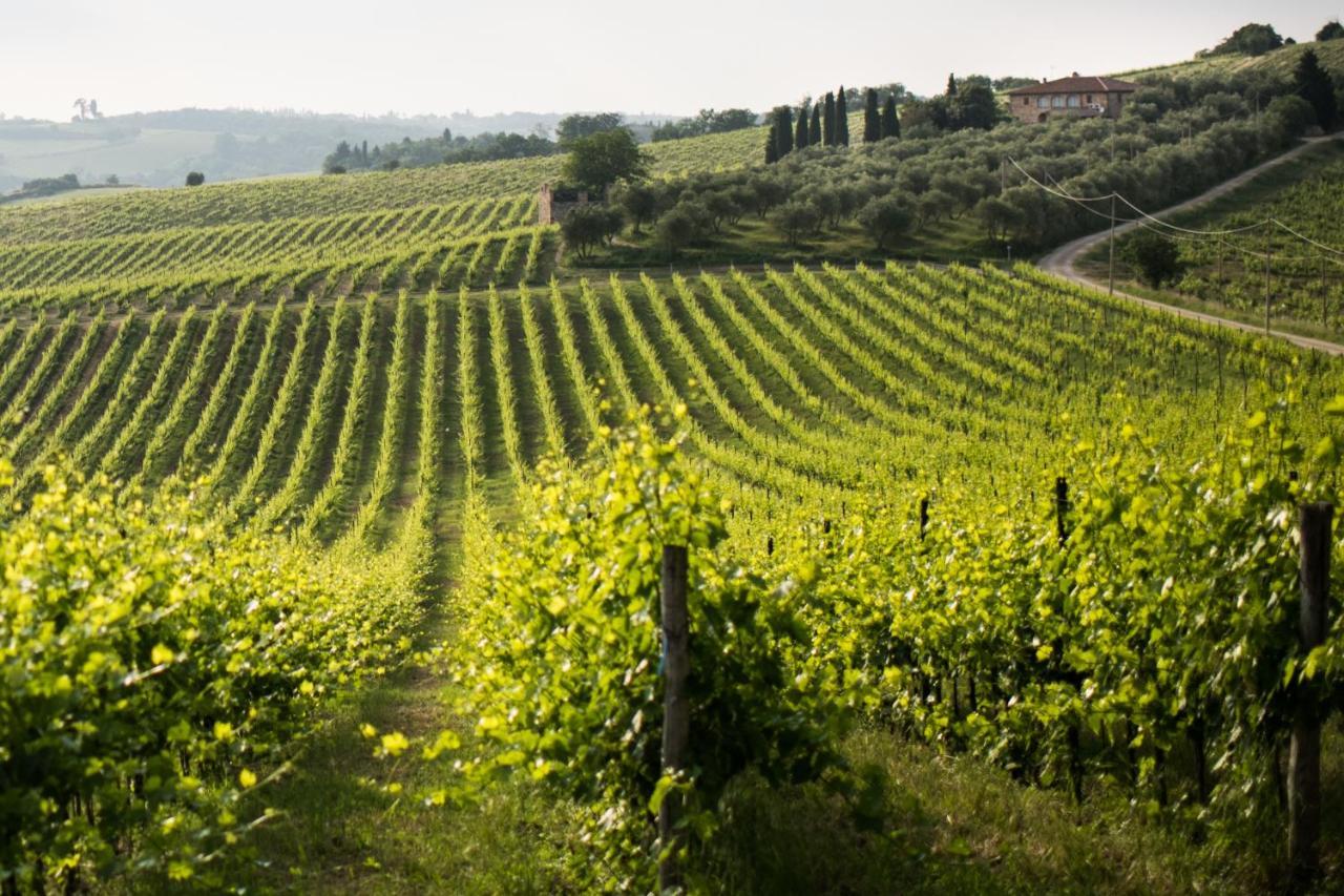 Tenuta Di Monaciano Ponte A Bozzone Exteriér fotografie